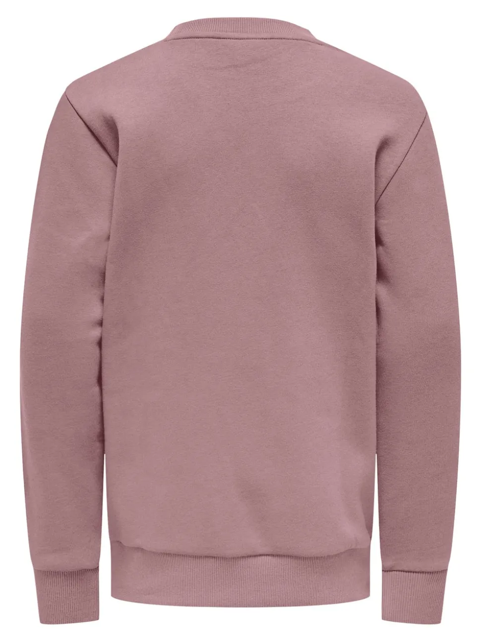 OSJCERES Bluza
